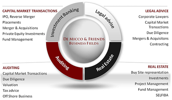 De Micco & Friends Business fields